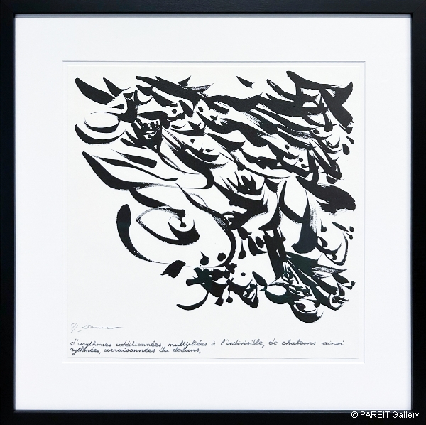 DOTREMONT Christian - D'arythmies additionnes